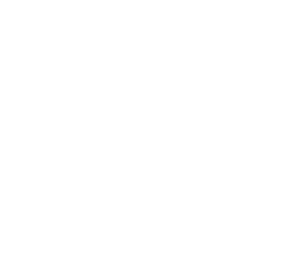 Logo Lions Clubs International